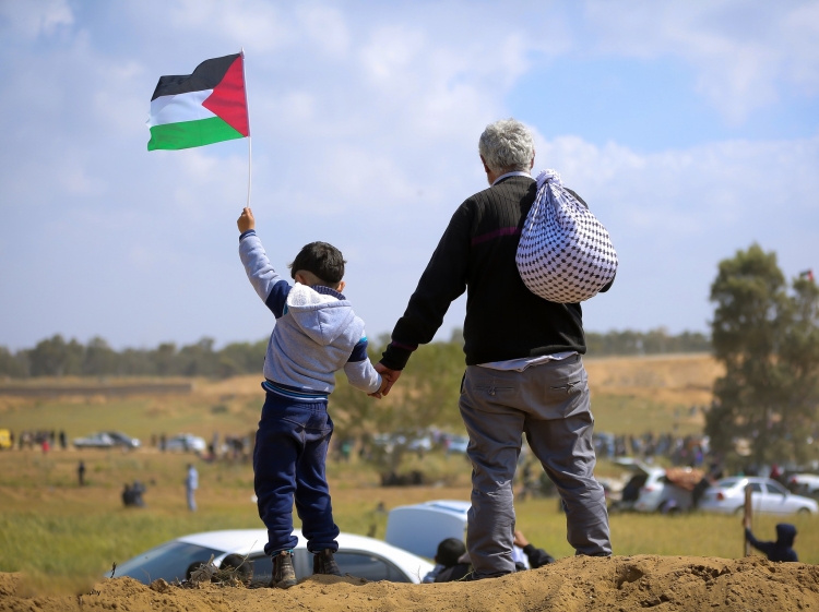Plight of Palestine